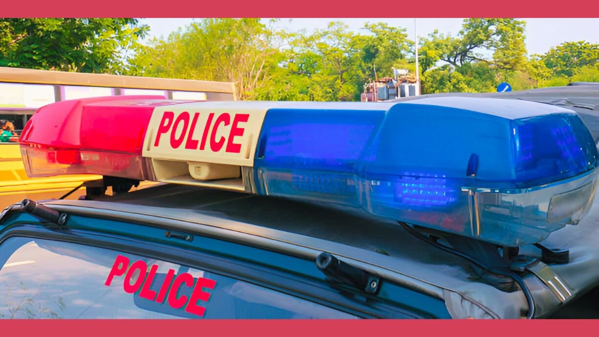 Mohali police have arrested six members of a gang for allegedly stealing batteries