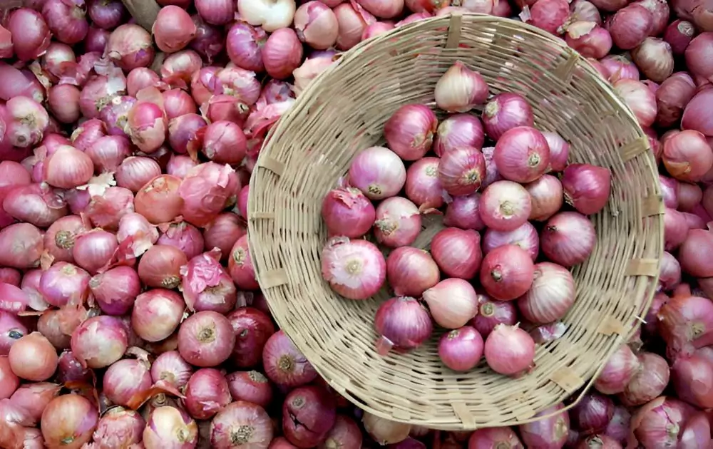 Swiggy-Instmart-launches-onion-flash-sale